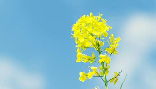 在职研究生考试英语难度