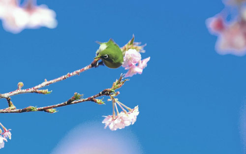 本科学化学的考研方向