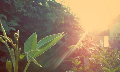 研究生考试英语