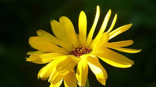 研究生考试英语时间