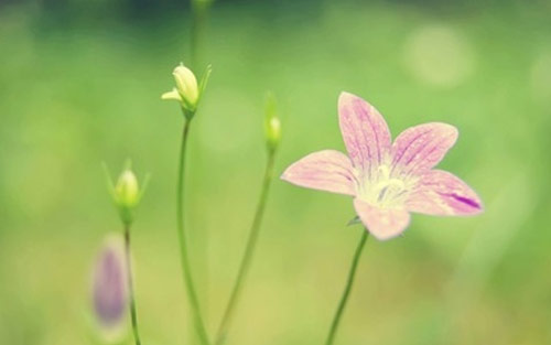 如何提高考研效率