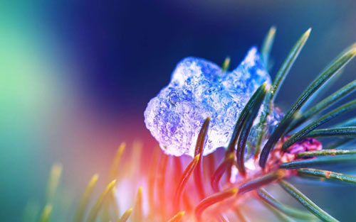 如何进行考研复习