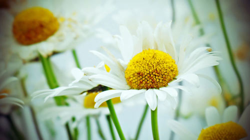 本科护理跨药学考研方向