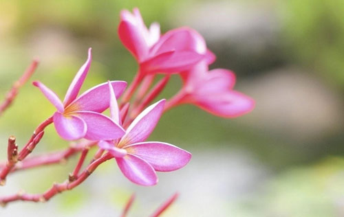 软件工程本科考研方向