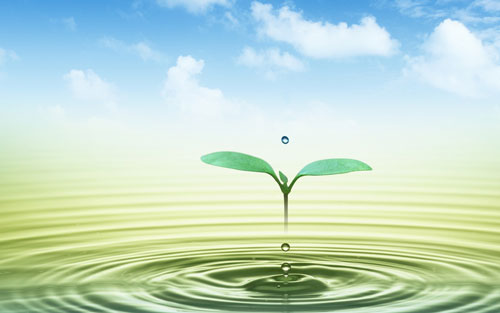 本科学前教育考研方向