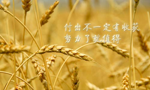 英语本科专业考研方向