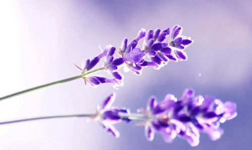 本科制药工程考研方向