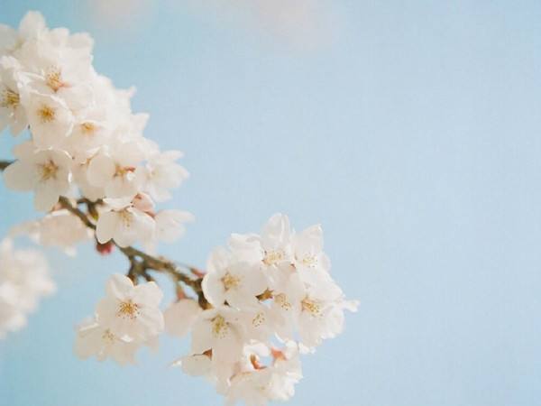 本科财管专业考研方向