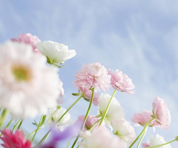 师范生物科学考研方向
