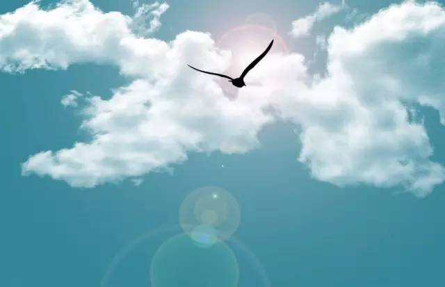 投资学考研方向