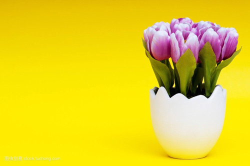 本科管理科学专业考研方向