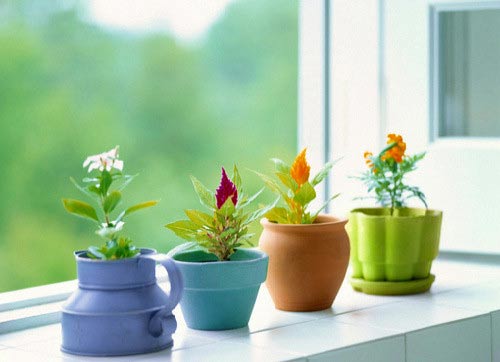 物理师范专业考研方向