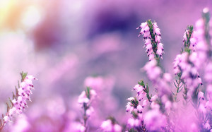 本科测控专业考研方向