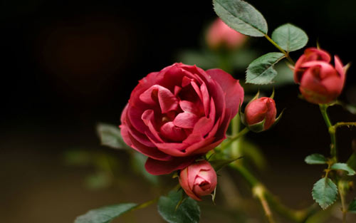 本科旅游管理考研方向