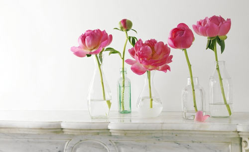 投资学专业考研方向