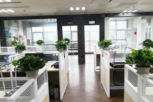 佛山优路教育精彩活动