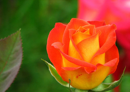 本科油画专业考研方向