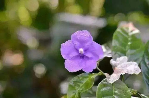 本科电气工程考研方向