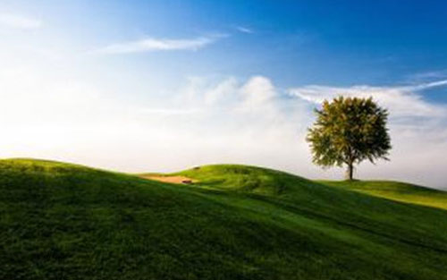 本科统计学专业考研方向