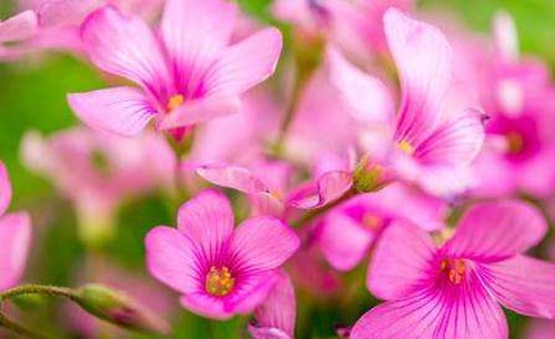 本科行政管理考研方向