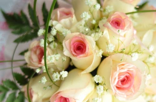 工程造价本科考研方向