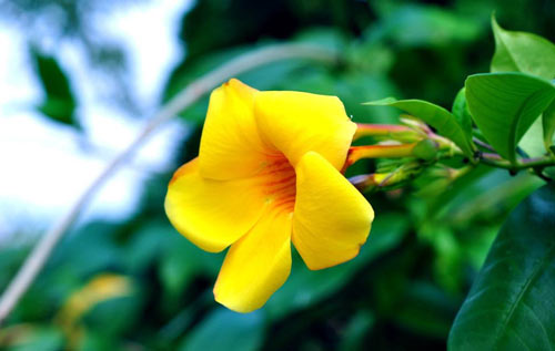 计算机本科考研方向