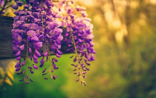 学前教育本科考研方向