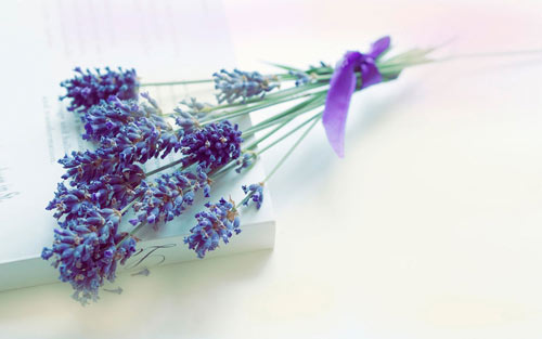 本科学数学的考研方向