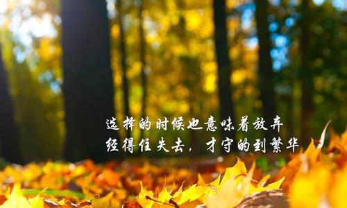 德语跨专业考研的方向