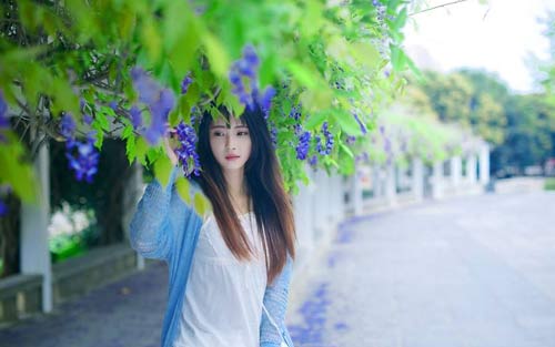 中医学本科考研方向