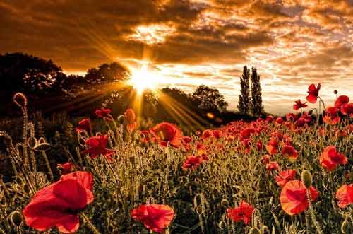 本科工程力学考研方向