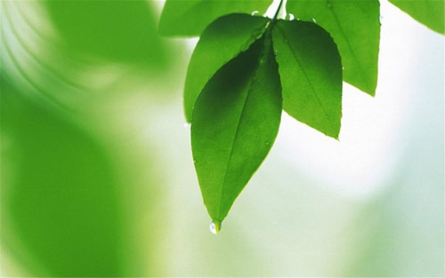 师范专业考研就业前景