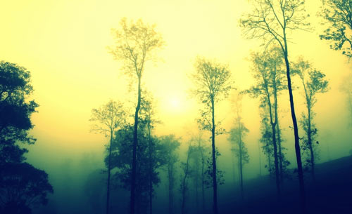 本科预防医学考研方向