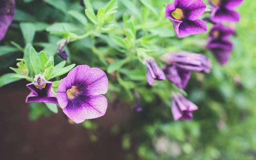 药学本科跨考考研方向