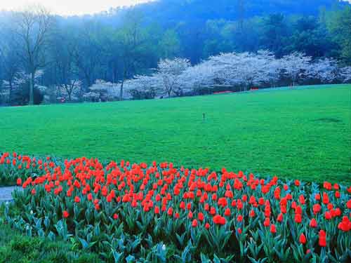 本科化学专业考研方向