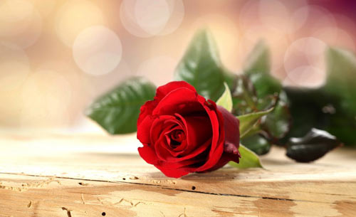 如何备考考研英语呢