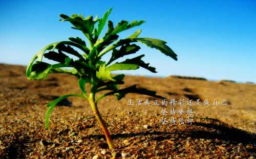 历史师范专业考研方向