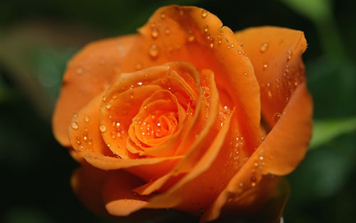 自动化本科考研方向