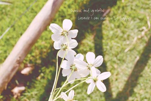 本科广告学的考研方向