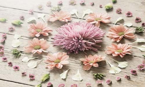 一个星期准备考研复试