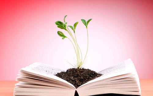 如何提高考研英语作文写作