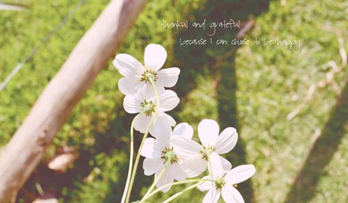 本科医学影像考研方向