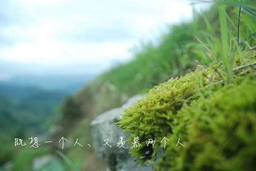 本科生物技术考研方向