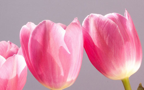 本科工业工程考研方向