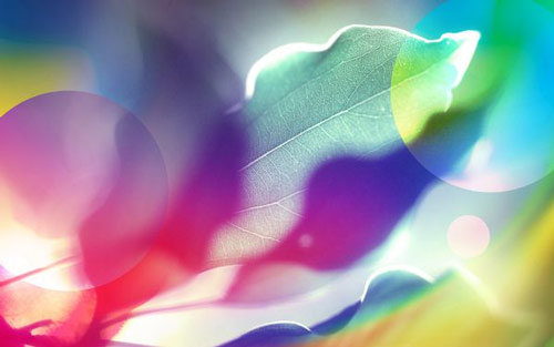 本科工商管理专业考研方向