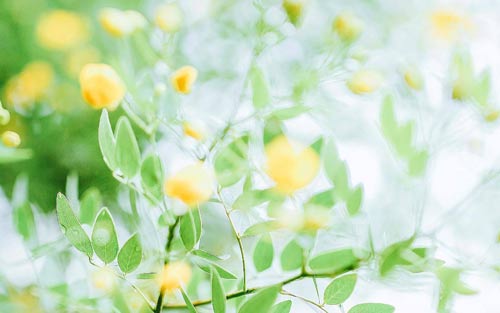 俄语本科考研方向