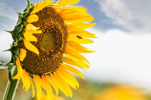 本科测绘专业考研方向