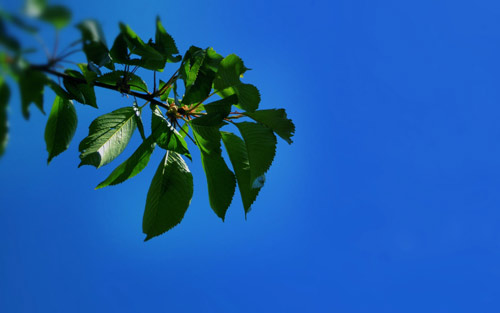 本科护理考研就业前景