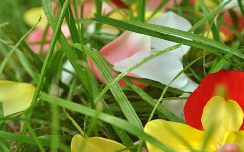 本科安全工程考研方向