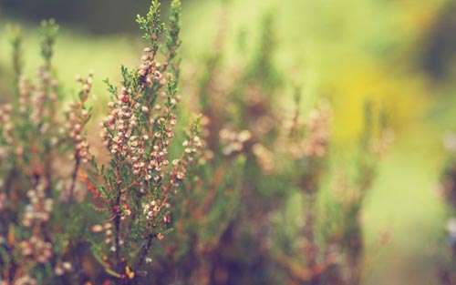 考研调剂要准备什么